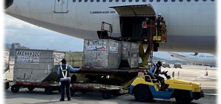 Loading and unloading services