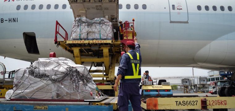 Loading and unloading services